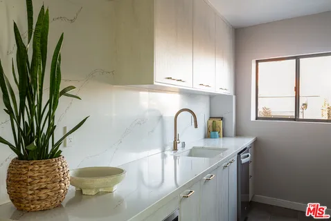 a kitchen with a sink a potted plant and cabinets