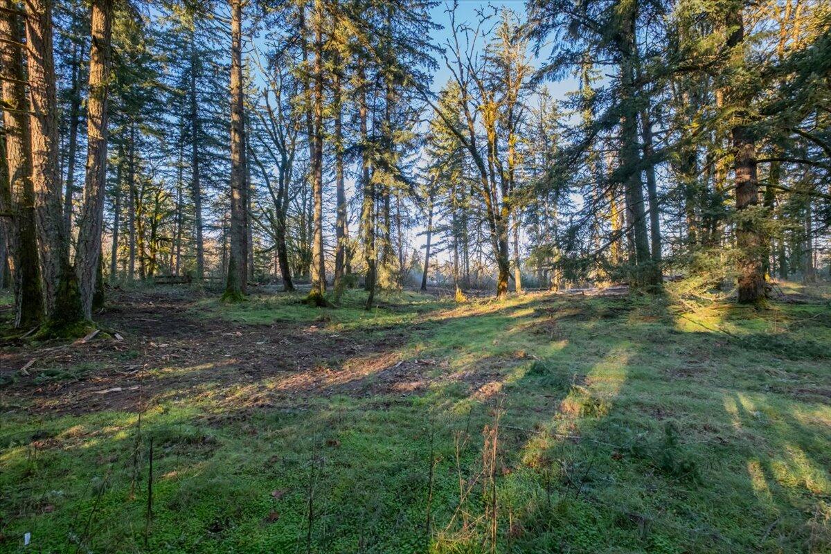 11997 Towers Road Southeast Stayton, OR 97383 - Photo 17 of 34
