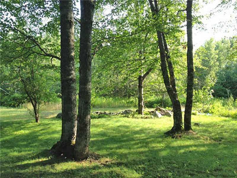 815 West Old Town Road Alton, ME 04468 - Photo 9 of 13 Yard/Garden.