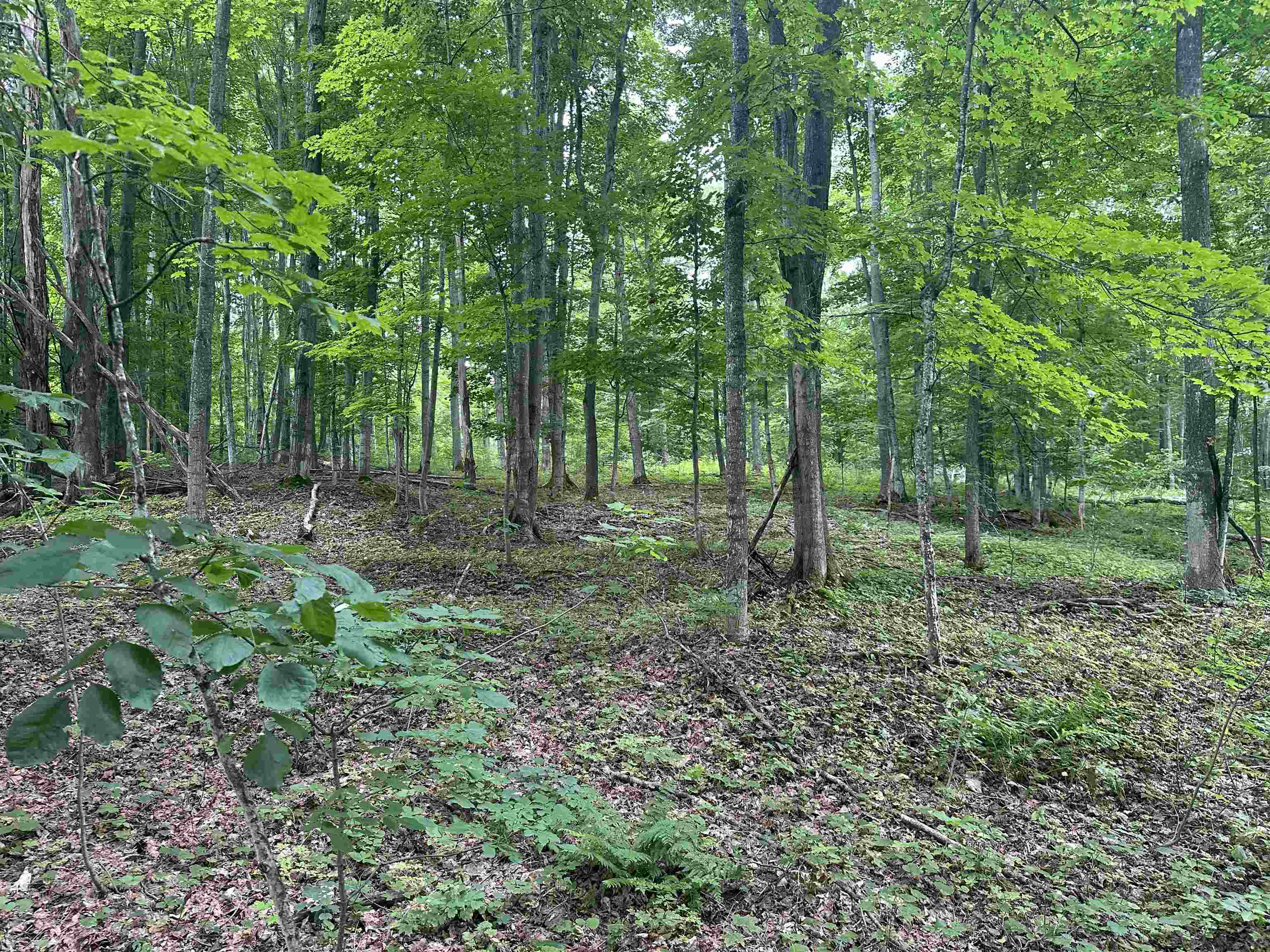 11605 South Tower Road, Unit LOT: 5 Maple City, MI 49664 - Photo 3 of 11