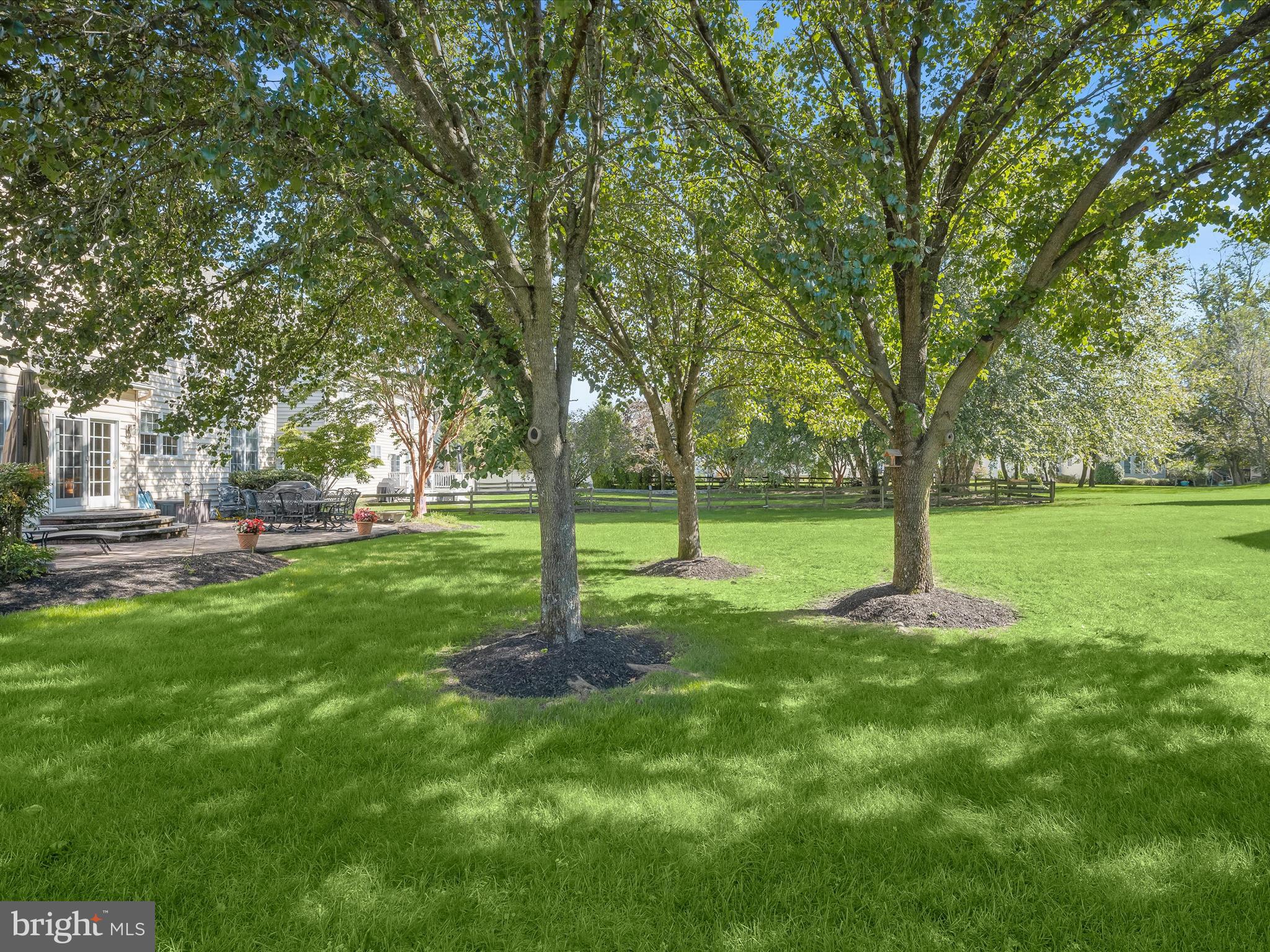 1525 Winfields Lane Gambrills, MD 21054 - Photo 56 of 65 a view of a tree in a park