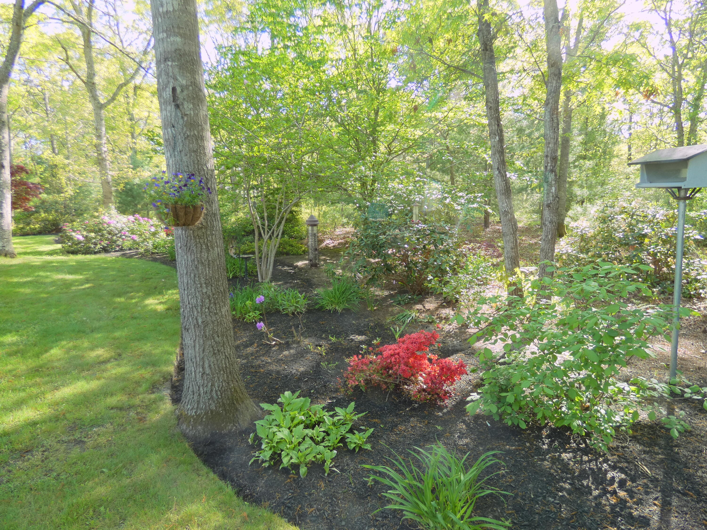 565 Sampsons Mill Road Cotuit, MA 02635 - Photo 58 of 87 a front view of a house with a yard
