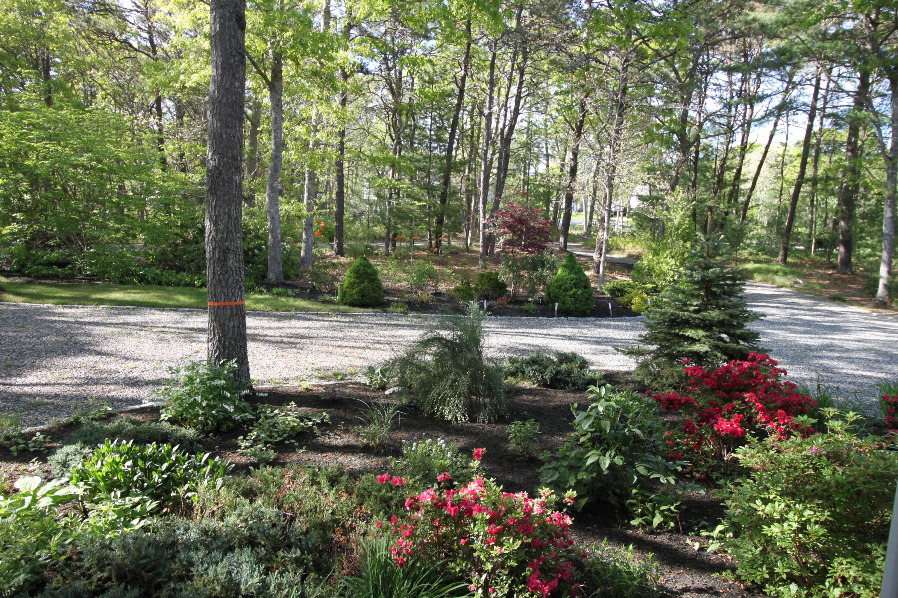 565 Sampsons Mill Road Cotuit, MA 02635 - Photo 59 of 87 May 2022