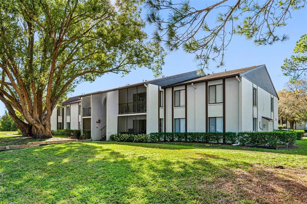 2642 Pine Ridge Way South, Unit G2 Palm Harbor, FL 34684 - Photo 3 of 31