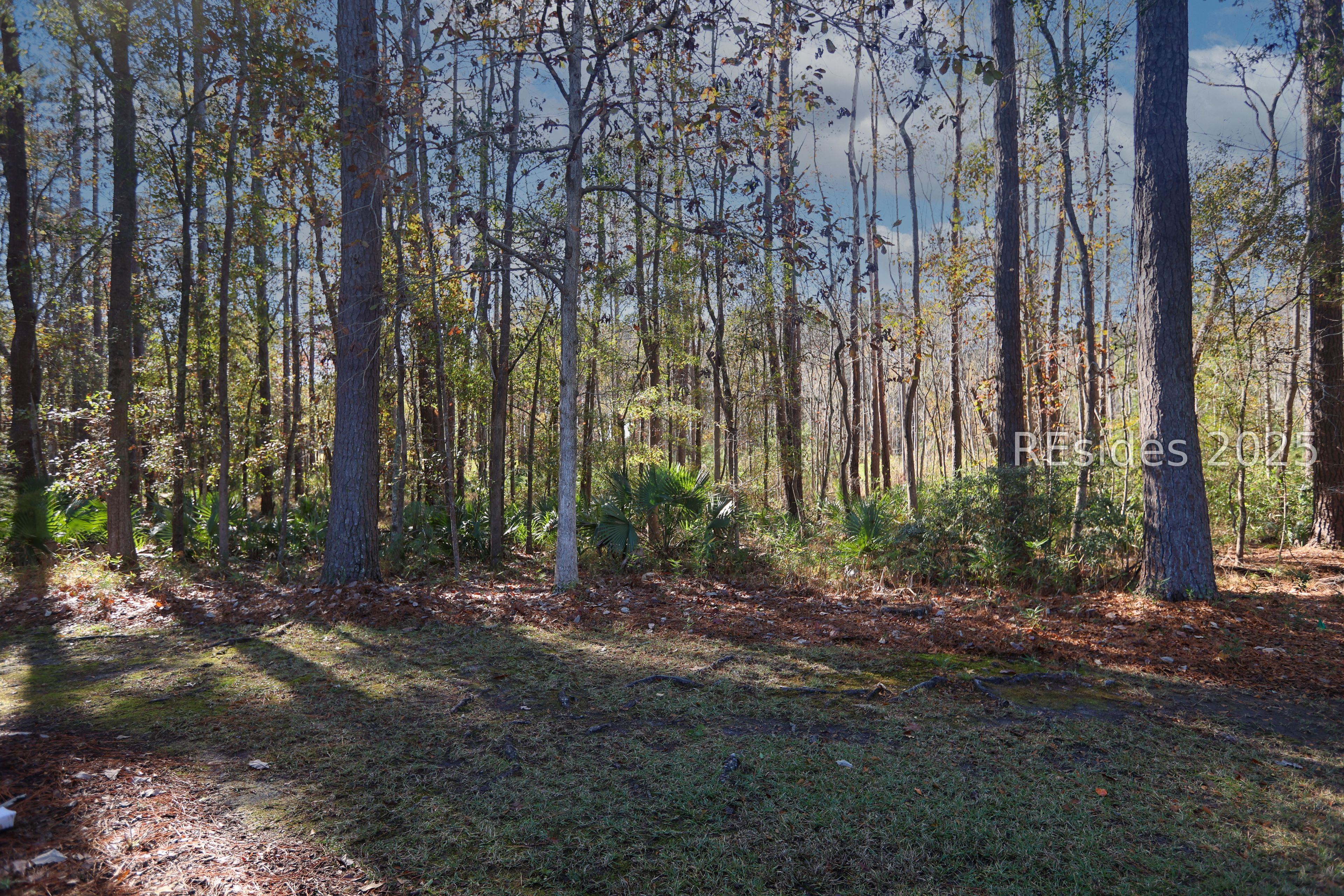 14 Andover Place Bluffton, SC 29909 - Photo 50 of 64 Beautiful wooded rear view from lanai!