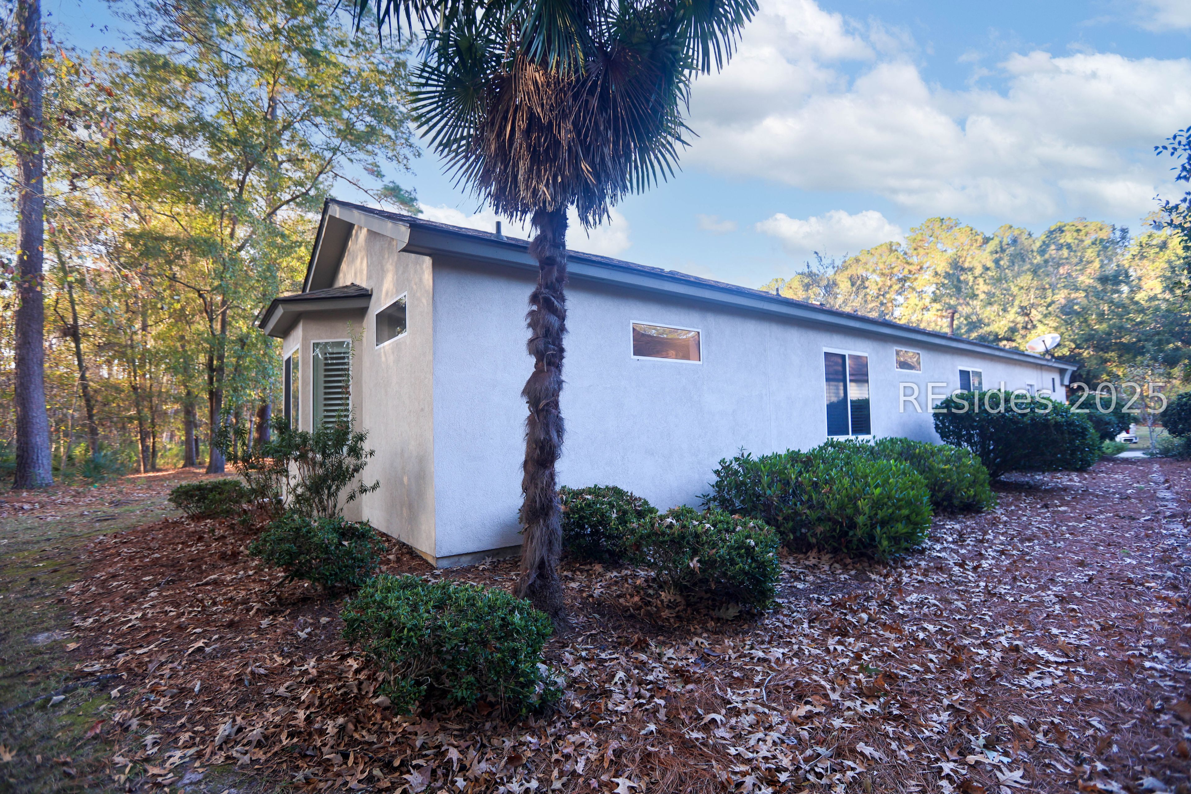 14 Andover Place Bluffton, SC 29909 - Photo 51 of 64 Palm tree & landscaping at side of home