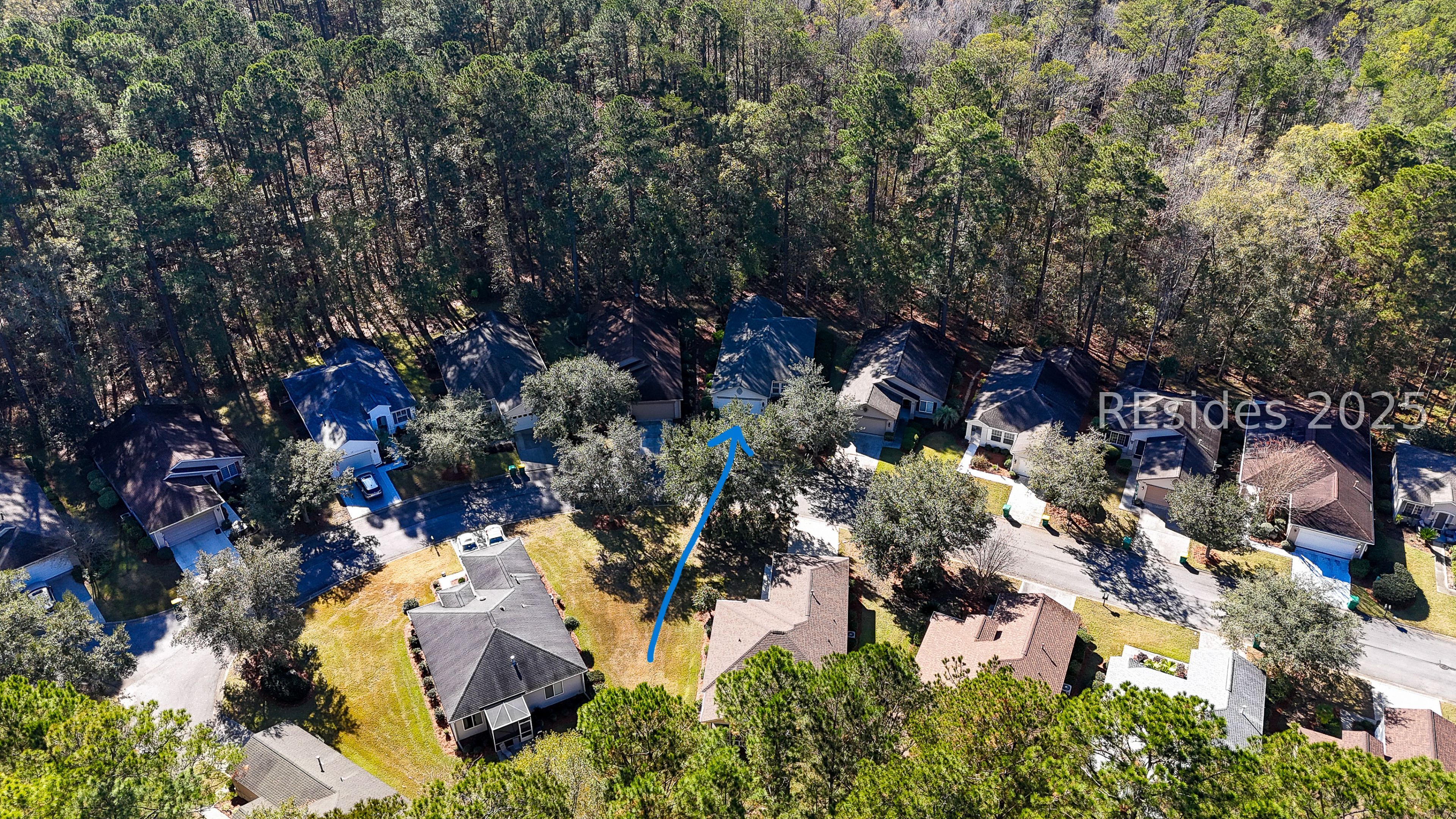 14 Andover Place Bluffton, SC 29909 - Photo 53 of 64 Overhead view of the woods