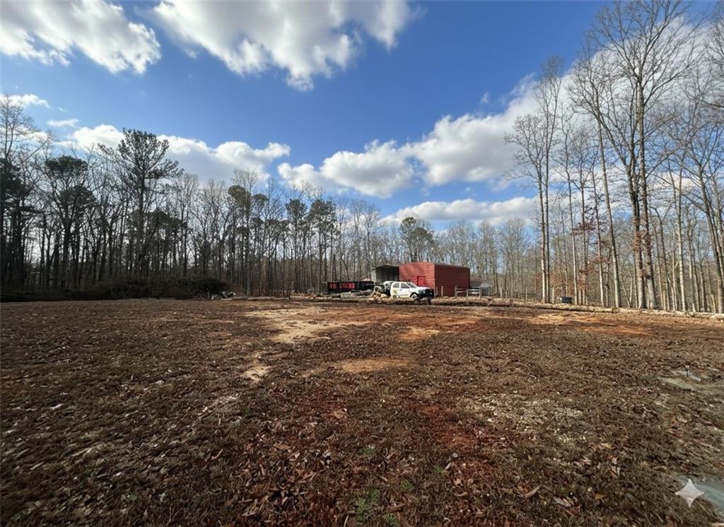 118 Raven Road Villa Rica, GA 30180 - Photo 46 of 46