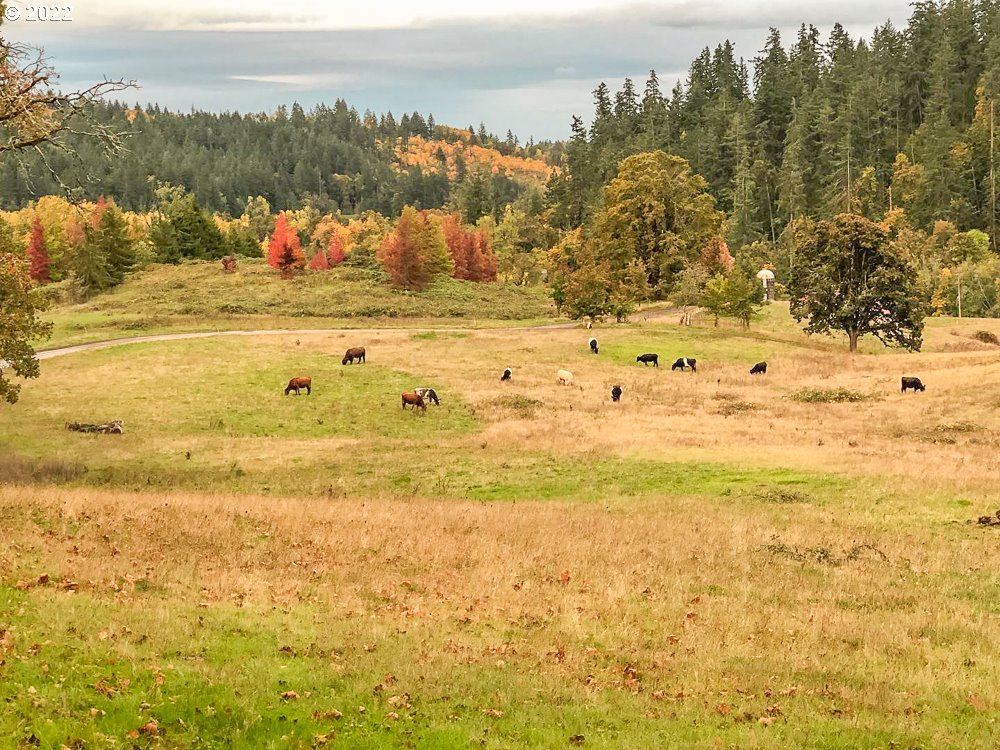 9663 Jackson Hill Road Southeast Salem, OR 97306 - Photo 25 of 32