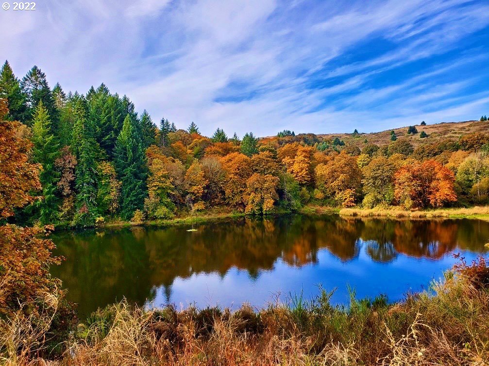 9663 Jackson Hill Road Southeast Salem, OR 97306 - Photo 7 of 32