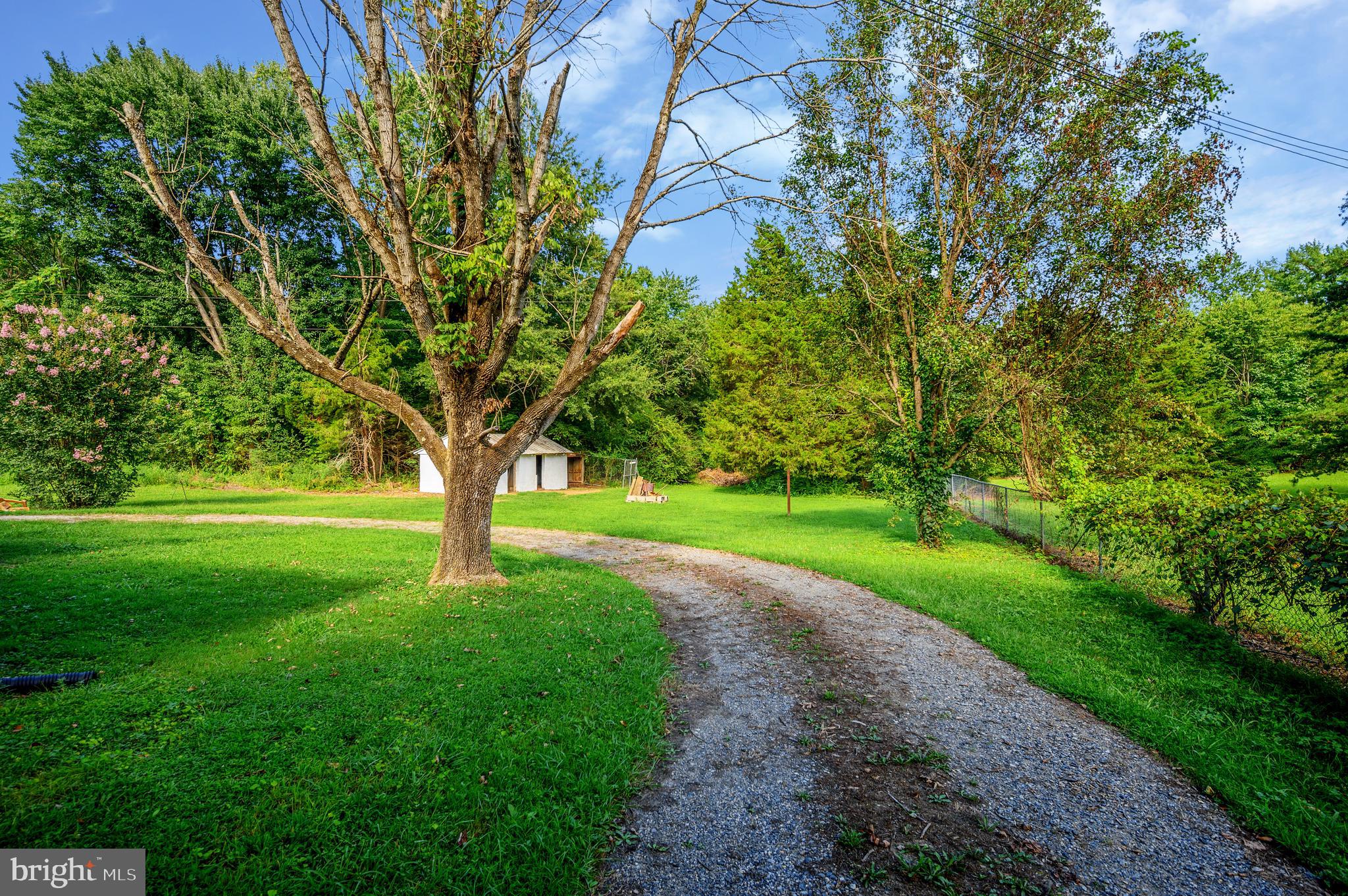22381 File Road Bowling Green, VA 22427 - Photo 3 of 39 Gallery Image 3