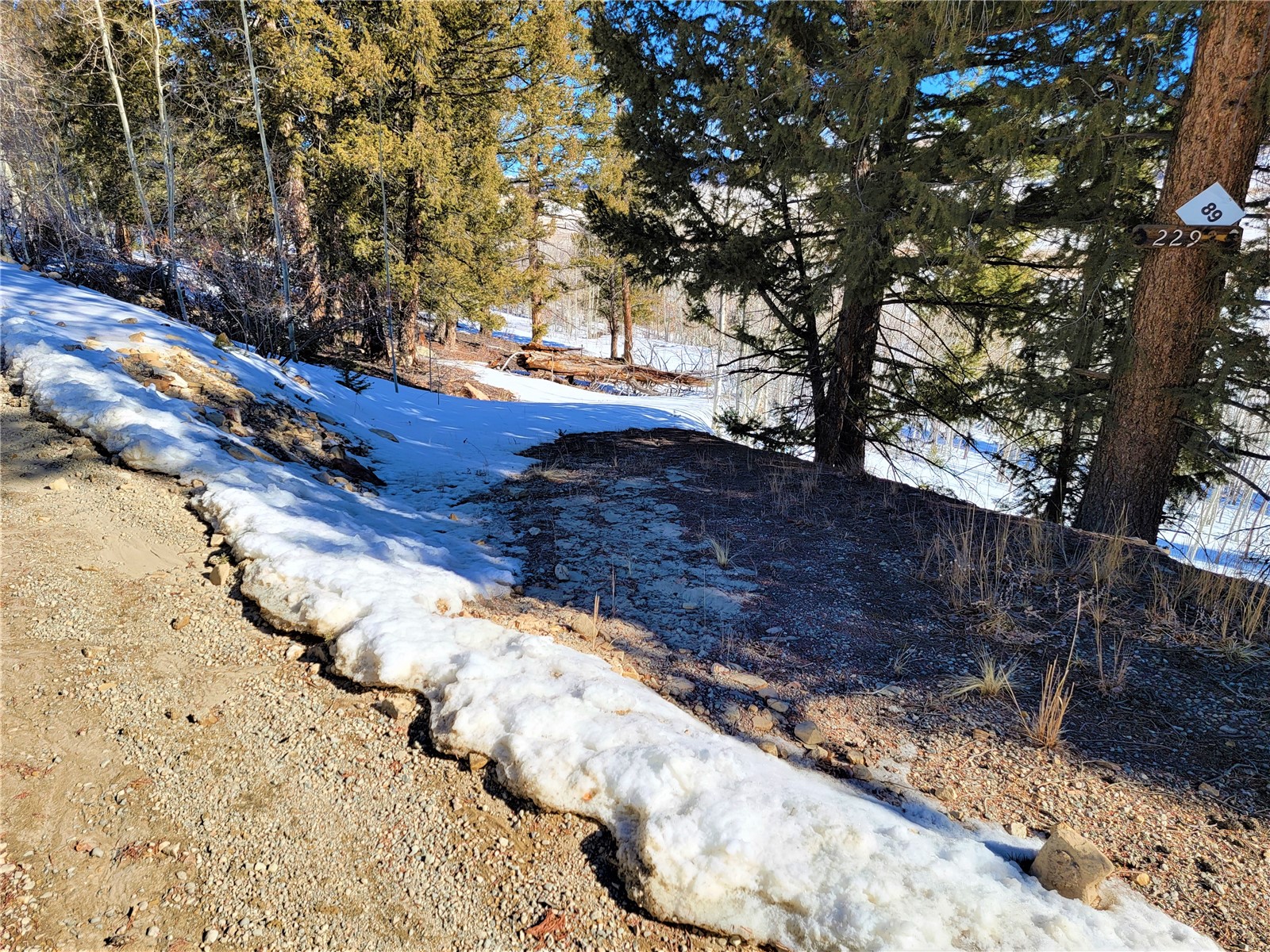 2292 Redhill Road Fairplay, CO 80440 - Photo 7 of 19 Gallery Image 7