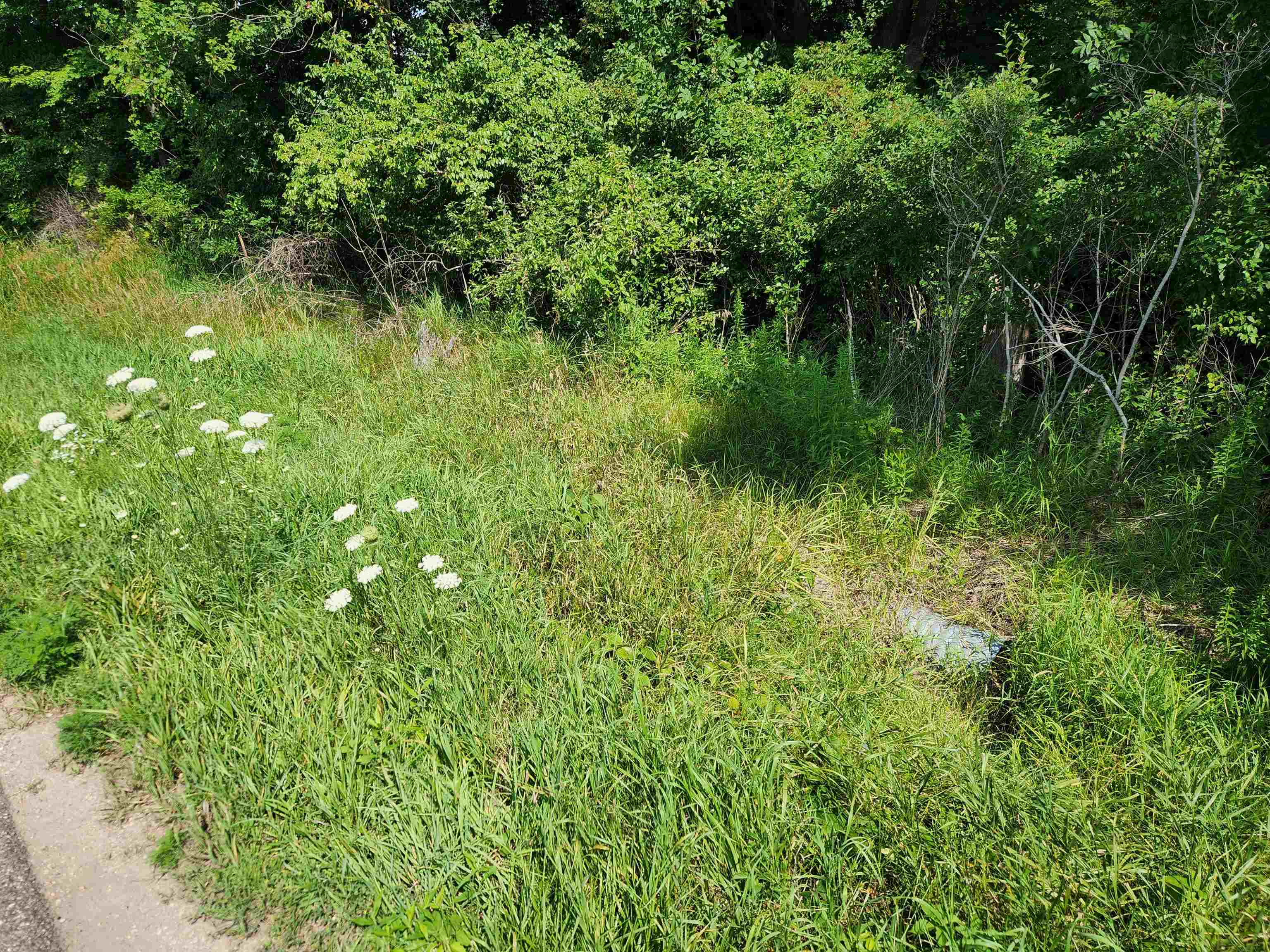 10-acres Beaverton Road Beaverton, MI 48612 - Photo 3 of 6