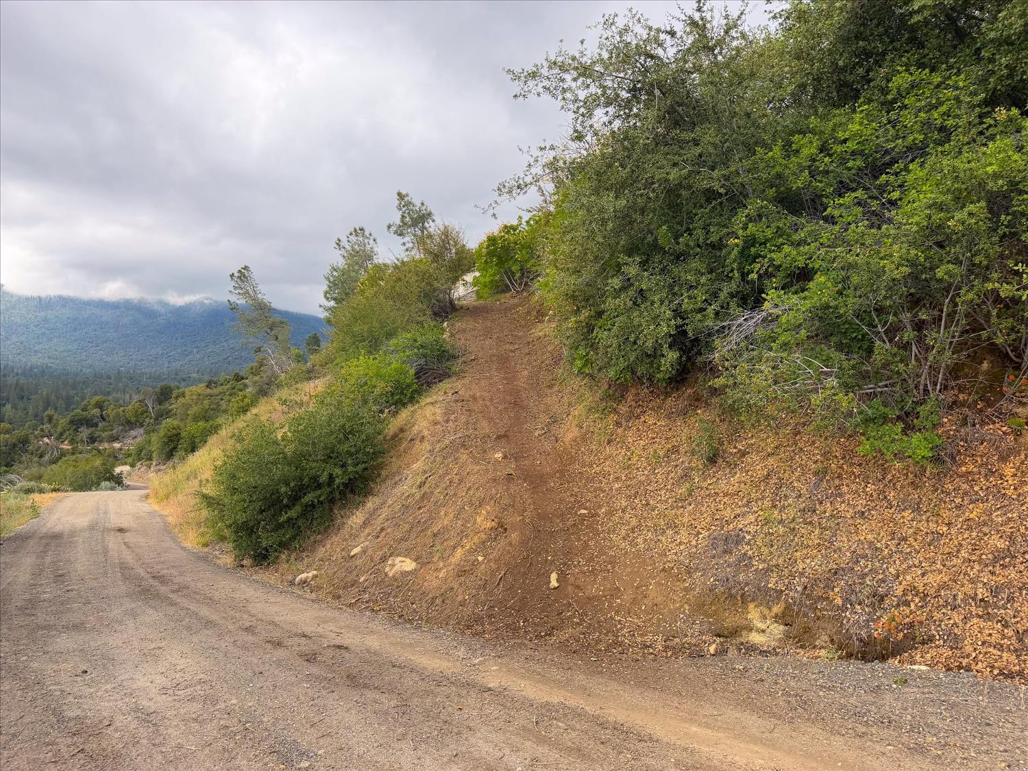 4 Harris Road Mariposa, CA 95338 - Photo 5 of 18