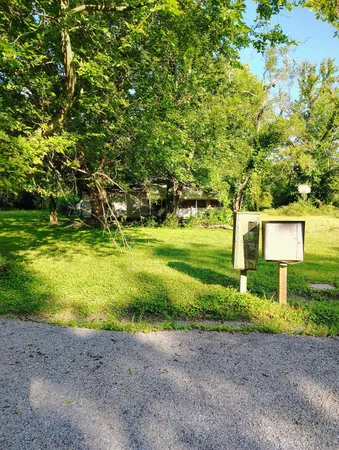 a view of a big yard with plants and large trees