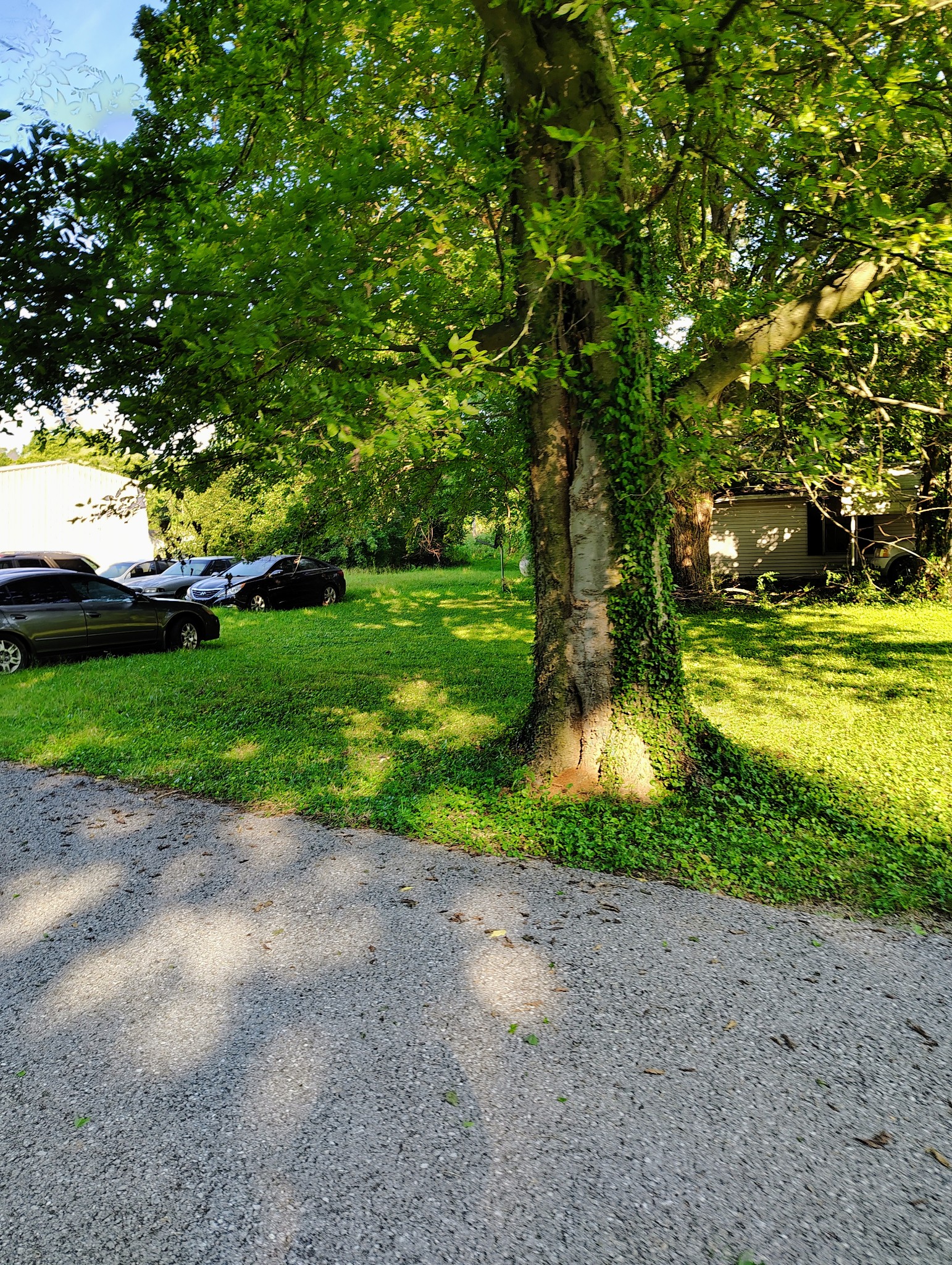 6760 Newstead Road Hopkinsville, KY 42240 - Photo 4 of 5 a view of a park