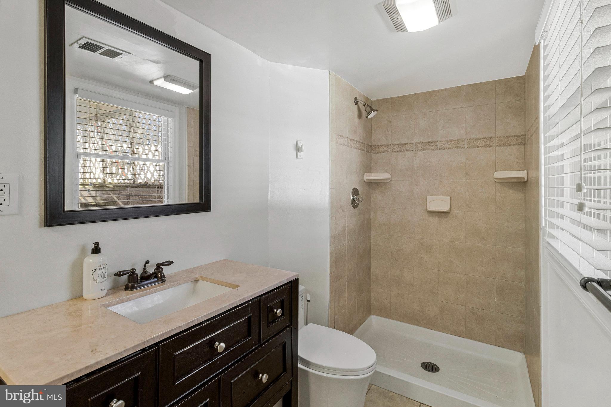 15295 Woodville Road Waldorf, MD 20601 - Photo 19 of 32 a bathroom with a sink a toilet a mirror and shower