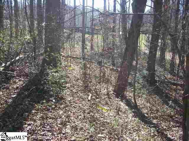 0 Nolan Road, Unit LOT 14 Travelers Rest, SC 29690 - Photo 3 of 6 Gallery Image 3