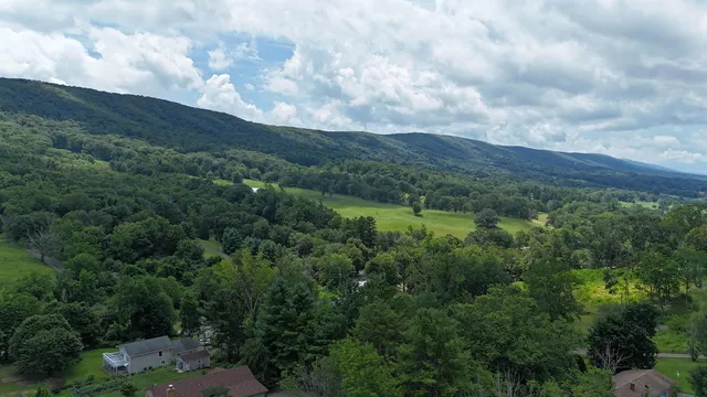 a view of a city with lush green forest