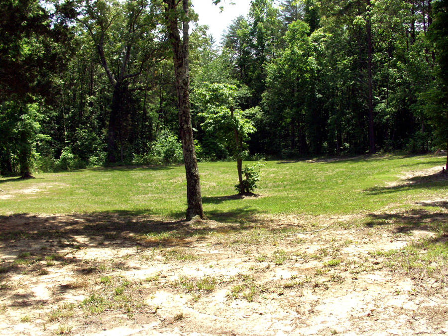 736 Gamble Gap Road Tellico Plains, TN 37385 - Photo 11 of 17 space for a garden
