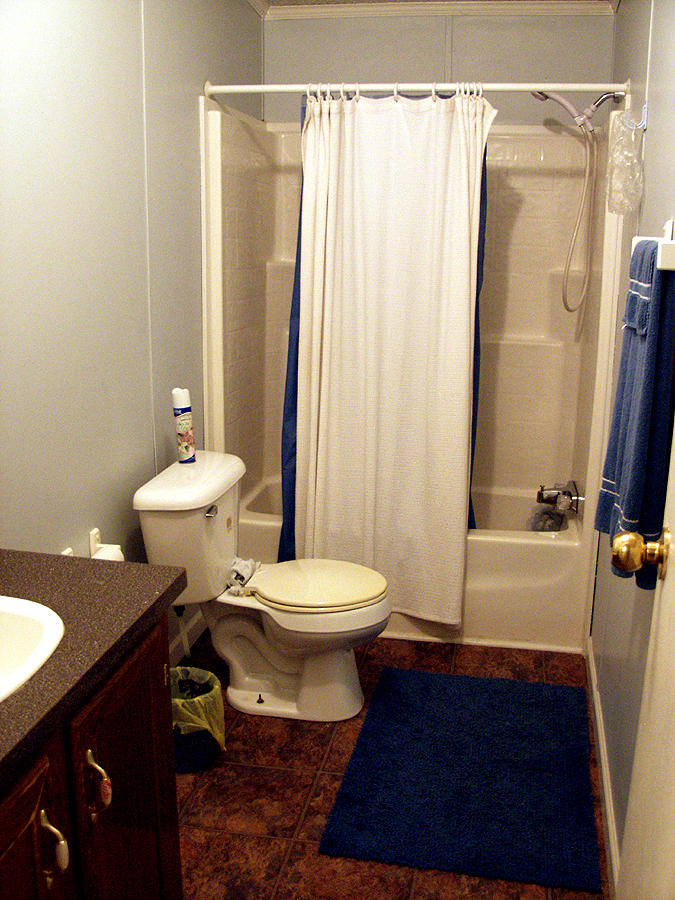 736 Gamble Gap Road Tellico Plains, TN 37385 - Photo 13 of 17 bath