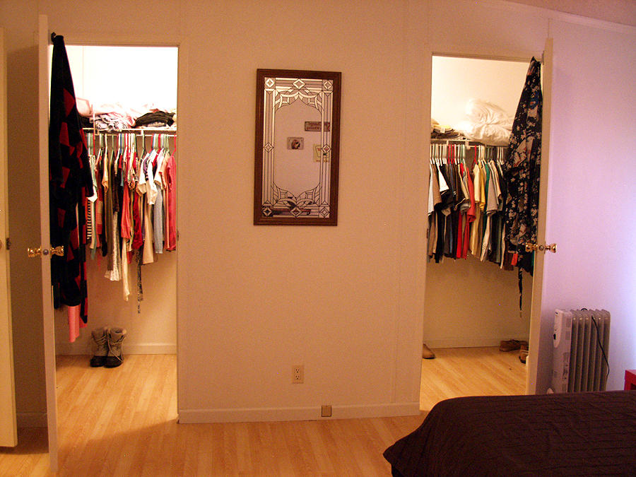 736 Gamble Gap Road Tellico Plains, TN 37385 - Photo 5 of 17 Closet space