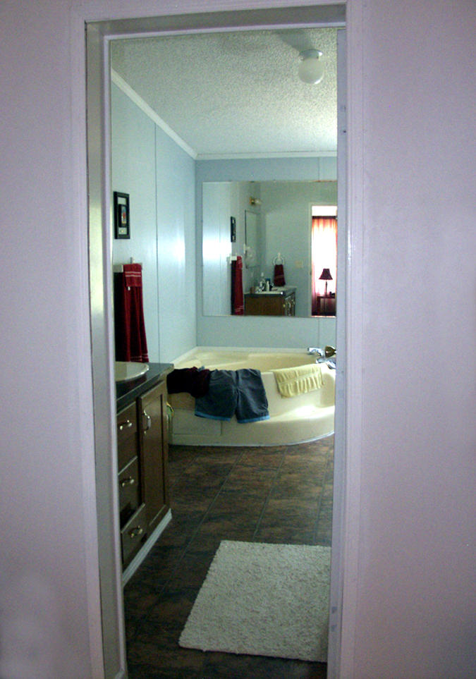 736 Gamble Gap Road Tellico Plains, TN 37385 - Photo 9 of 17 Master bath
