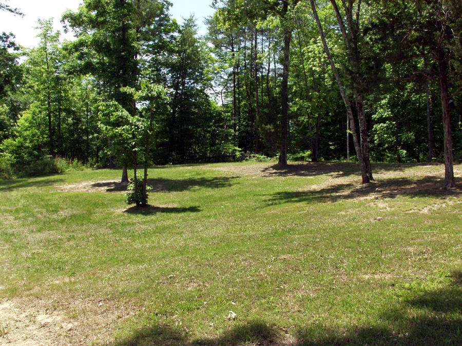 736 Gamble Gap Road Tellico Plains, TN 37385 - Photo 10 of 17 cleared around home