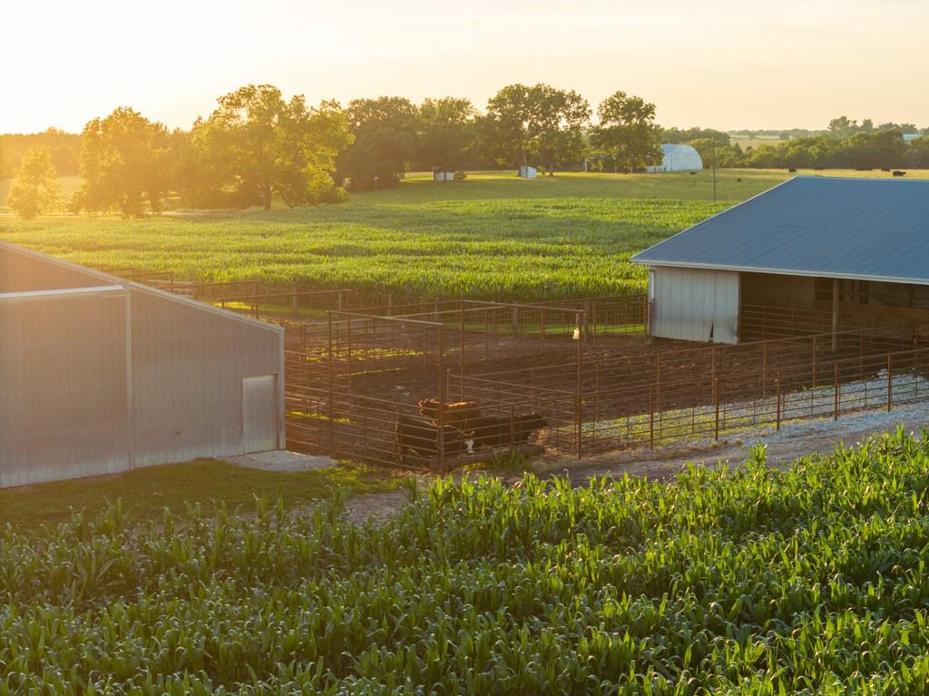10791 Northeast State Rte D Butler, MO 64730 - Photo 23 of 99
