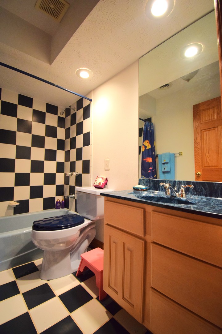 12863 Bowling Alley Road Benton, IL 62812 - Photo 49 of 50 a bathroom with a sink a toilet a mirror and shower