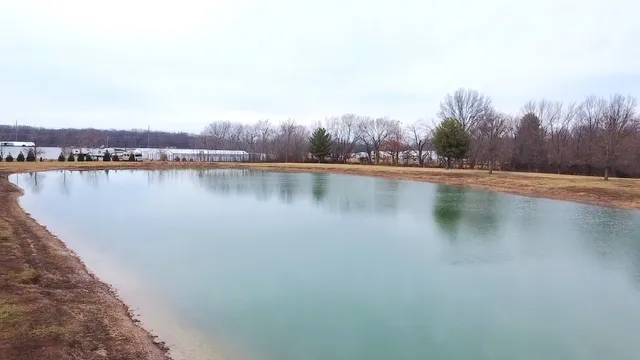 a view of large trees with a yard