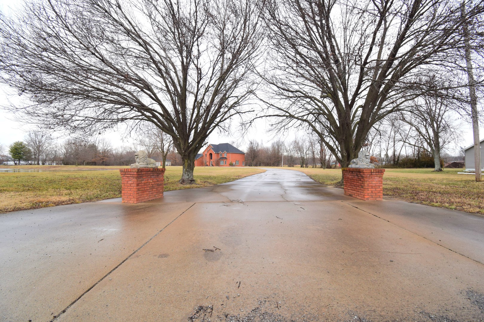 12863 Bowling Alley Road Benton, IL 62812 - Photo 8 of 50 a view of large trees with a yard
