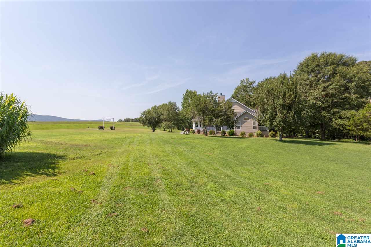 724 Jonesview Road Talladega, AL 35160 - Photo 46 of 50