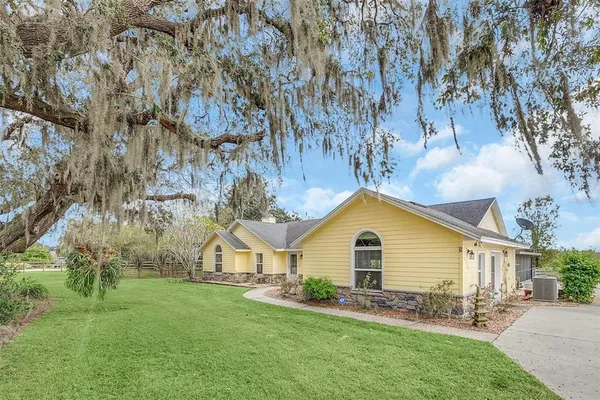 a view of a park with large trees