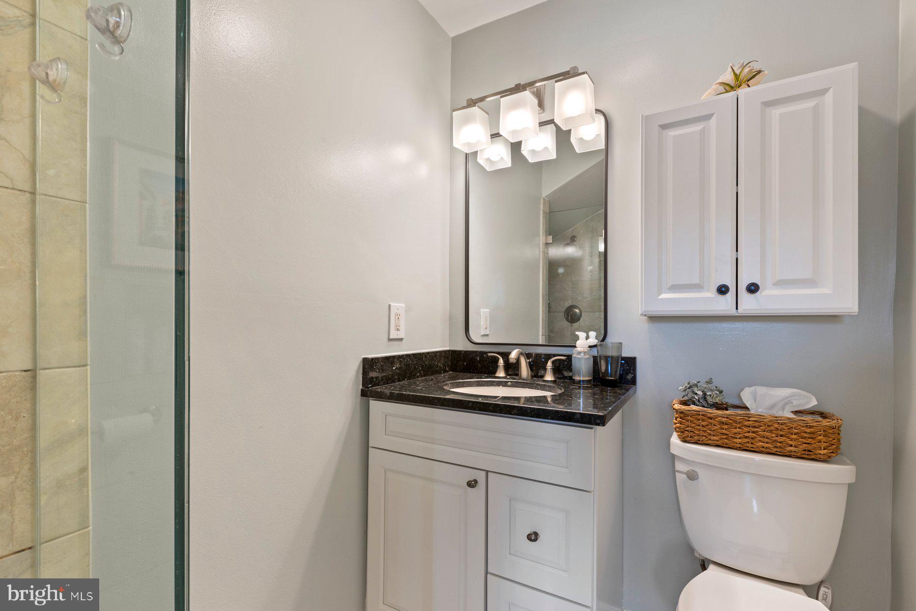 4515 Flintstone Road Alexandria, VA 22306 - Photo 21 of 34 Owner's Bathroom