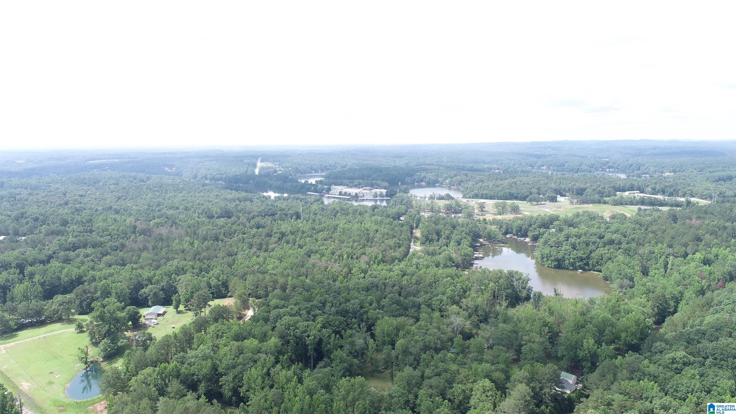 4 County Road Wedowee, AL 36278 - Photo 7 of 16