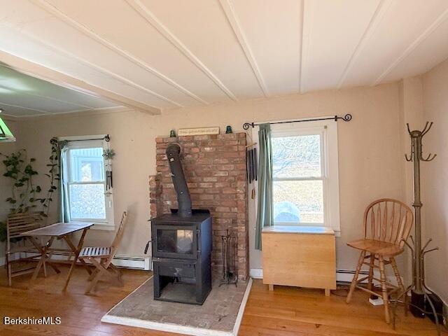 33 Hancock Road Williamstown, MA 01267 - Photo 9 of 34 Wood stove and hearth