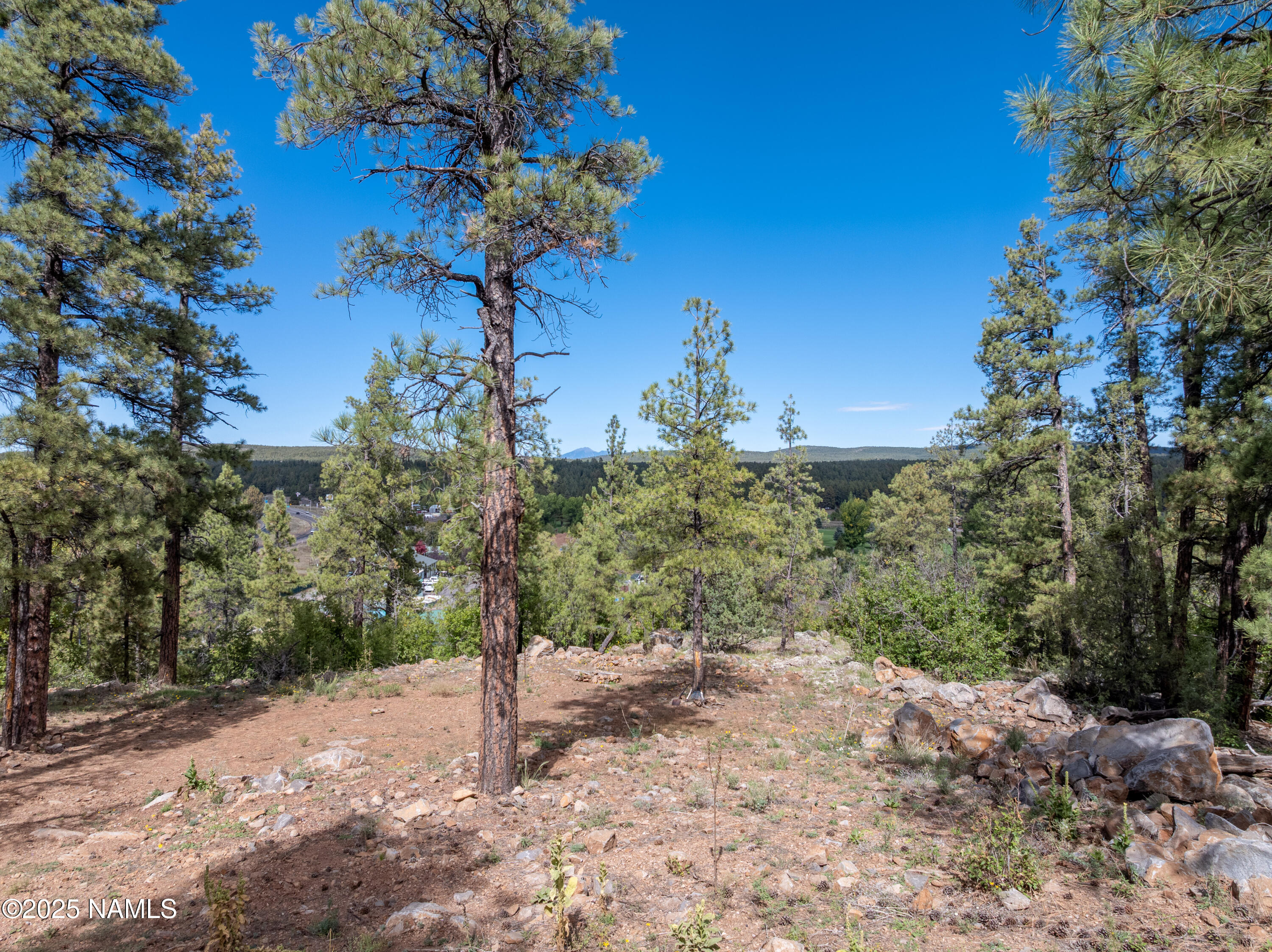 115 East Navajo Road Munds Park, AZ 86017 - Photo 23 of 44 DM-115Navajo-33