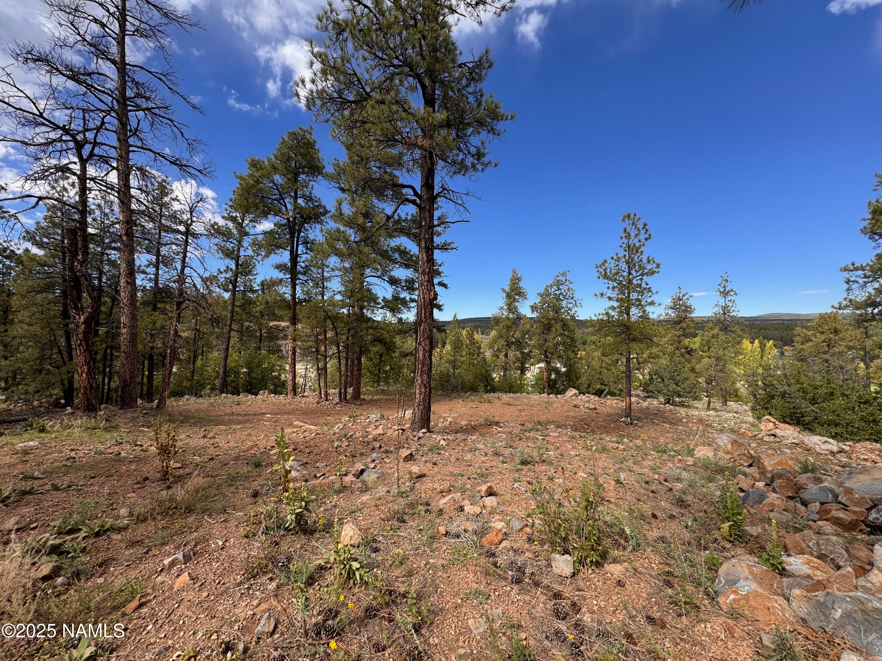 115 East Navajo Road Munds Park, AZ 86017 - Photo 29 of 44 DM-115Navajo-52