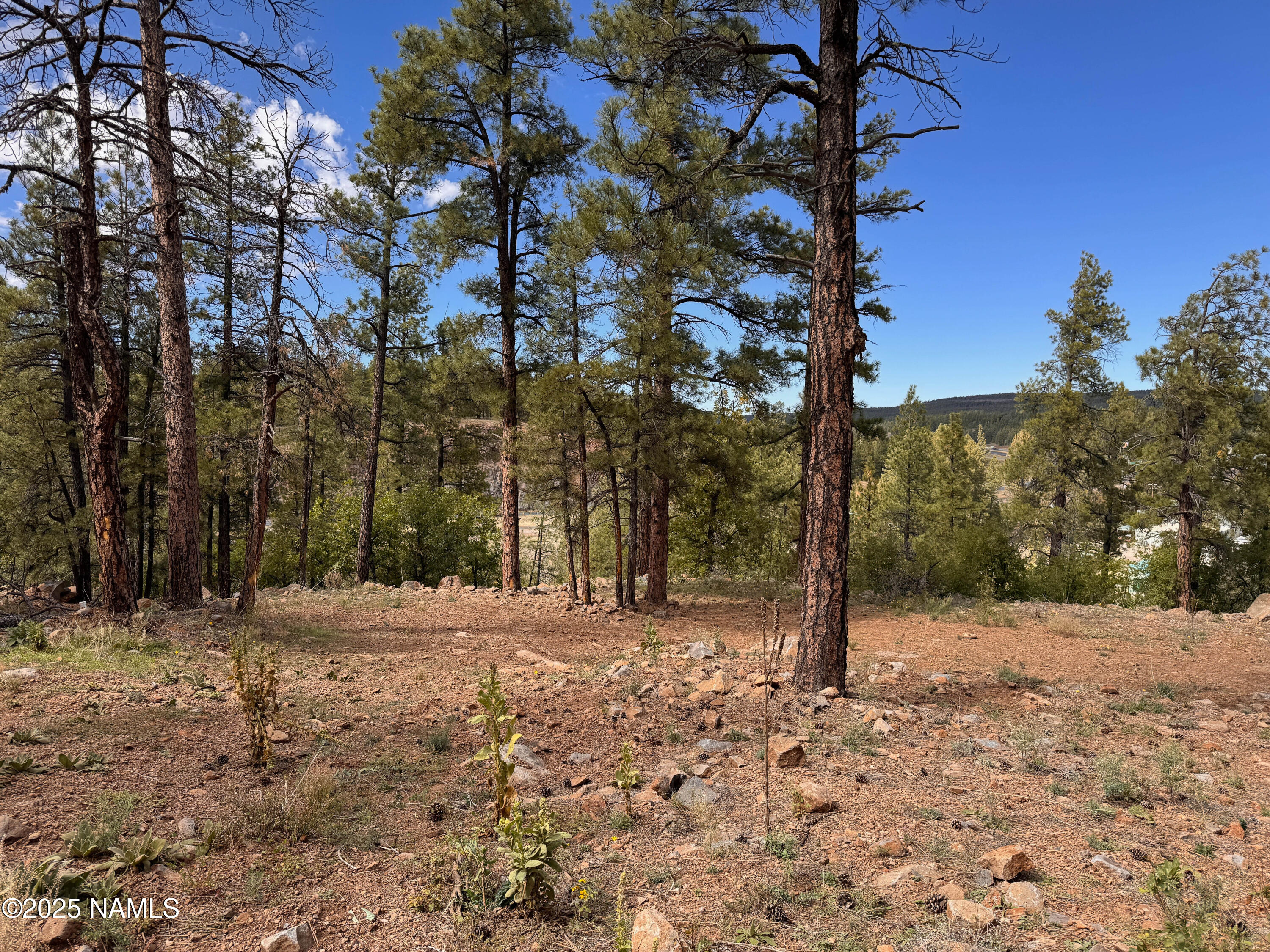 115 East Navajo Road Munds Park, AZ 86017 - Photo 30 of 44 DM-115Navajo-53