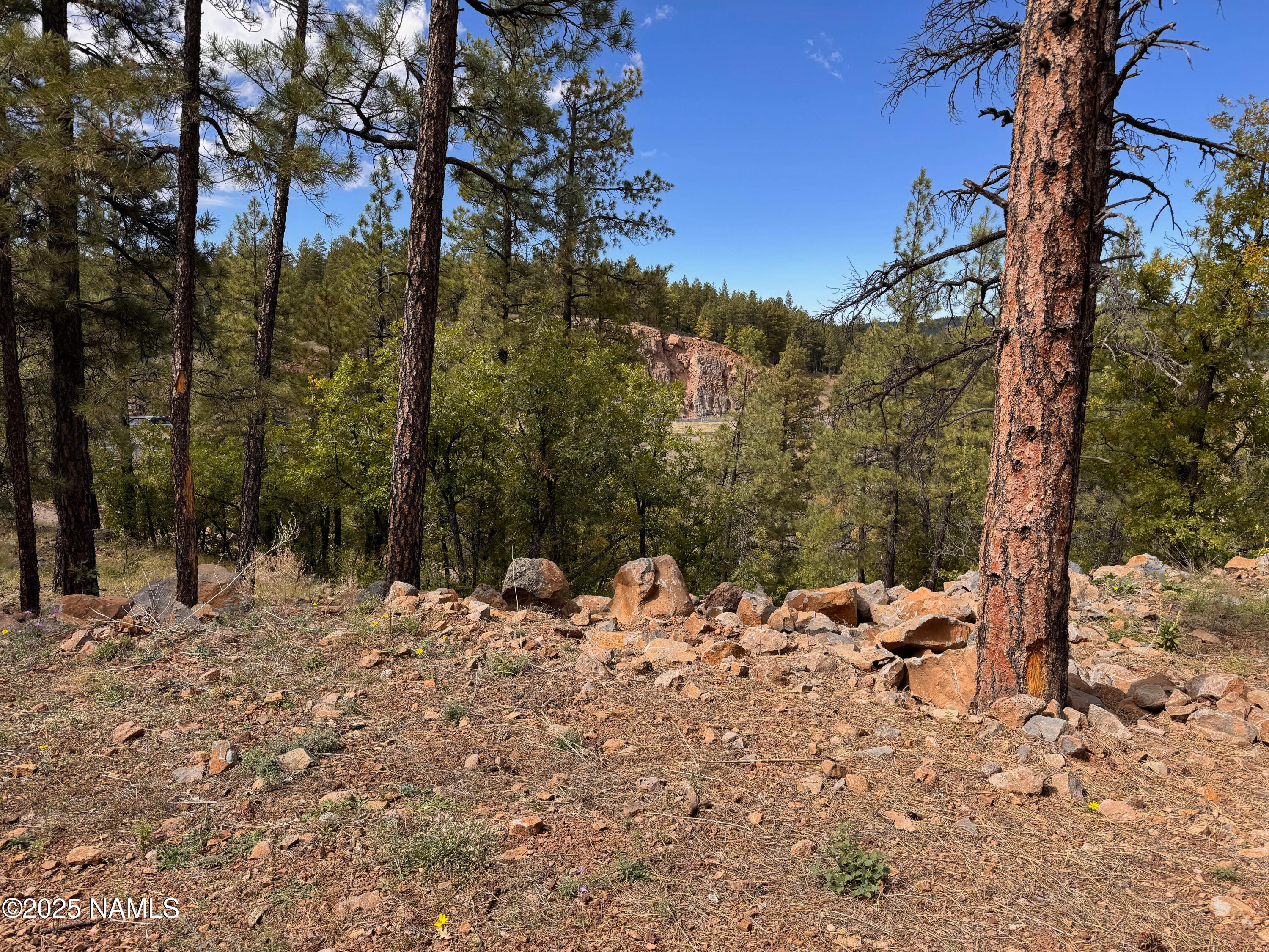 115 East Navajo Road Munds Park, AZ 86017 - Photo 31 of 44 DM-115Navajo-54
