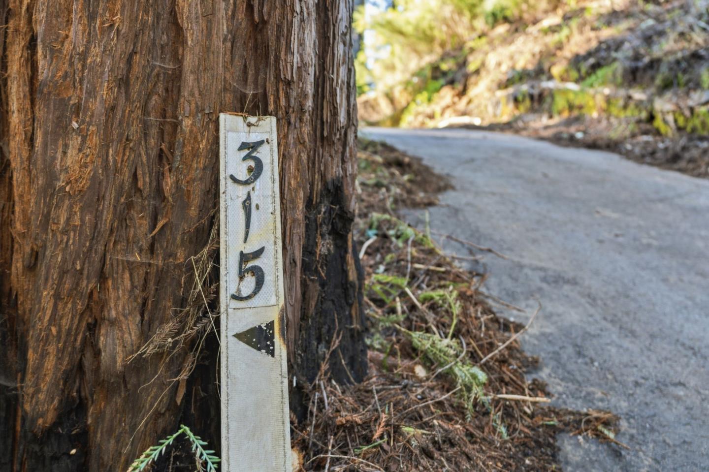 315 Alder Road Boulder Creek, CA 95006 - Photo 9 of 17 Gallery Image 9