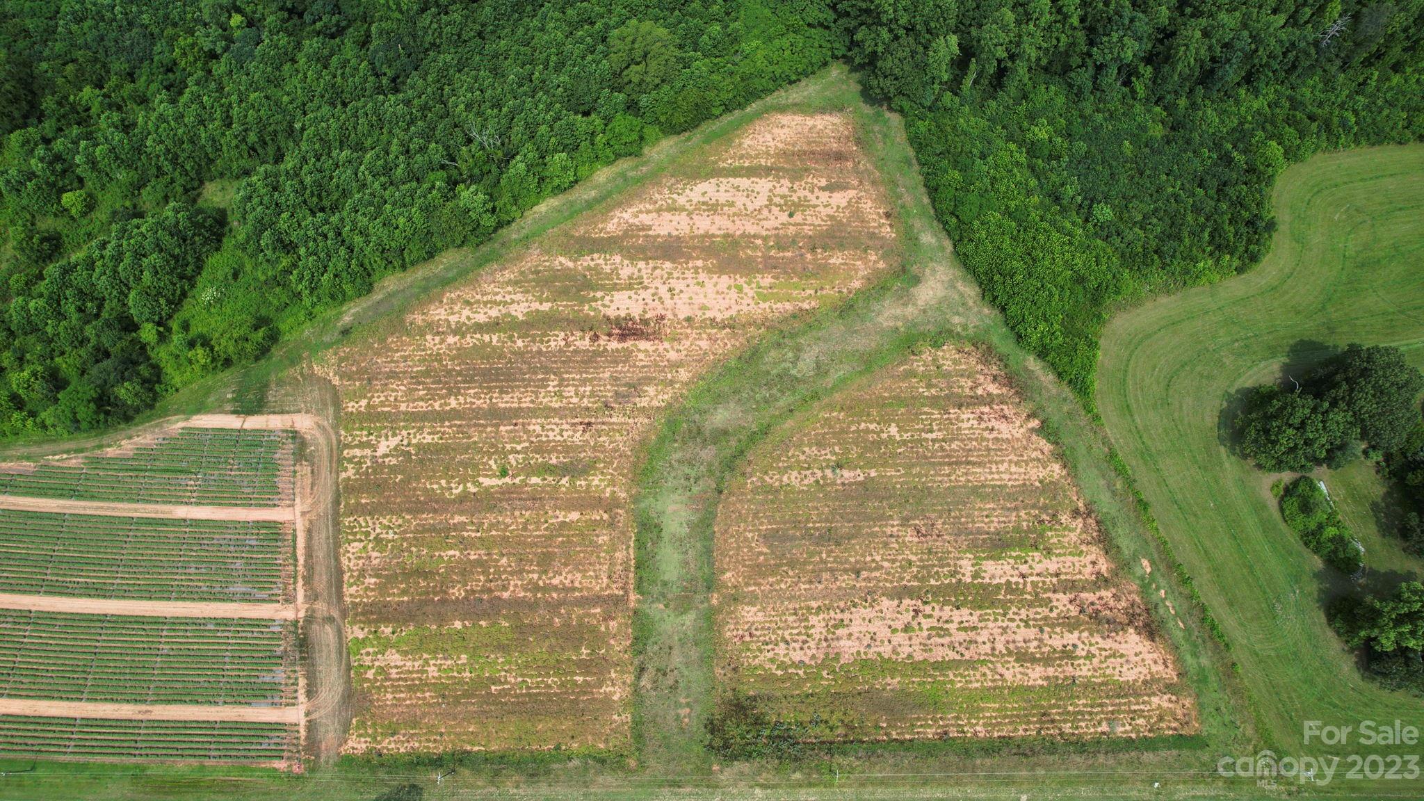 0 Millbridge Road China Grove, NC 28023 - Photo 3 of 10 Gallery Image 3