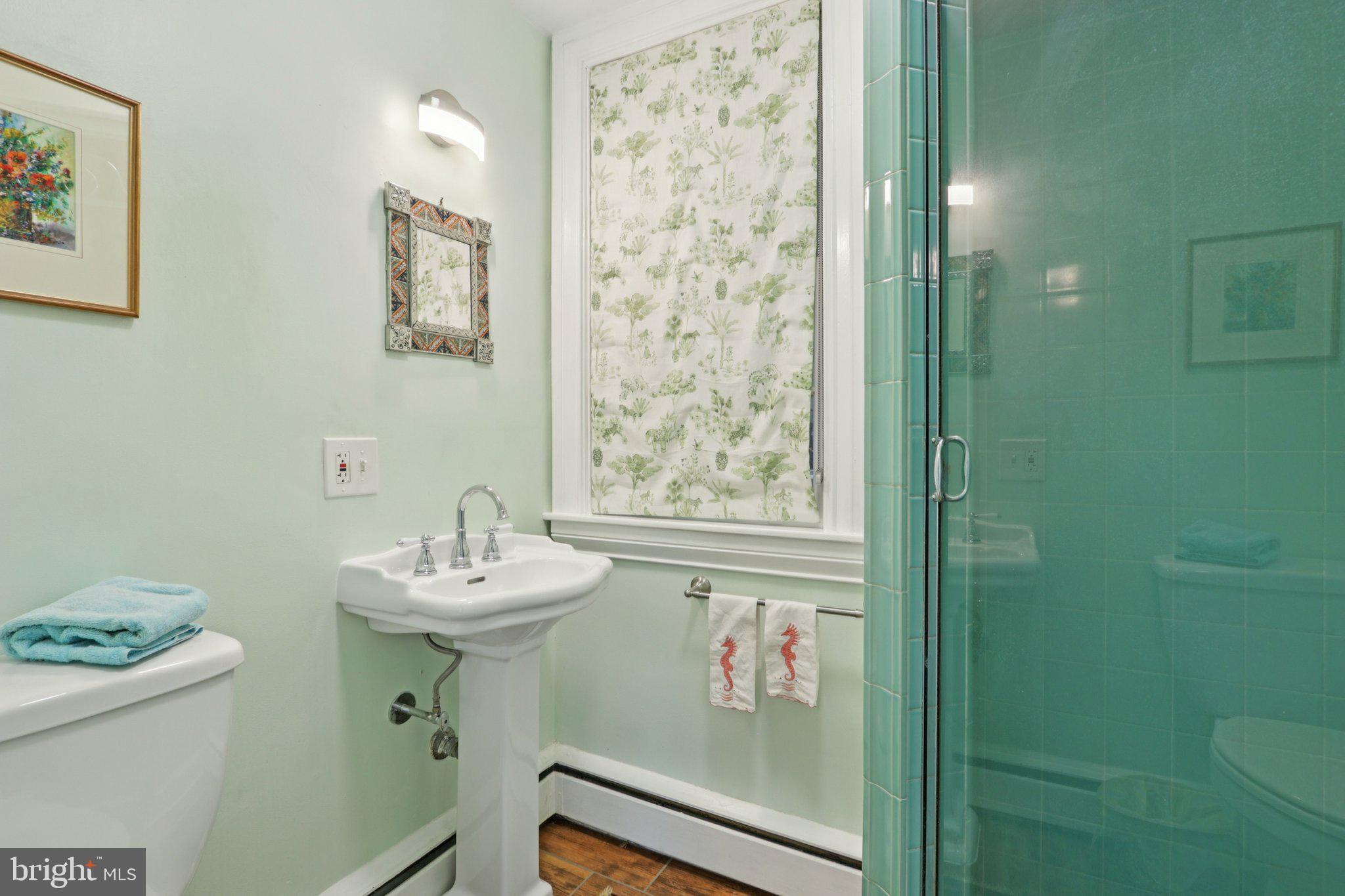 738 South Roberts Road Bryn Mawr, PA 19010 - Photo 49 of 65 First Floor Bath w/Shower