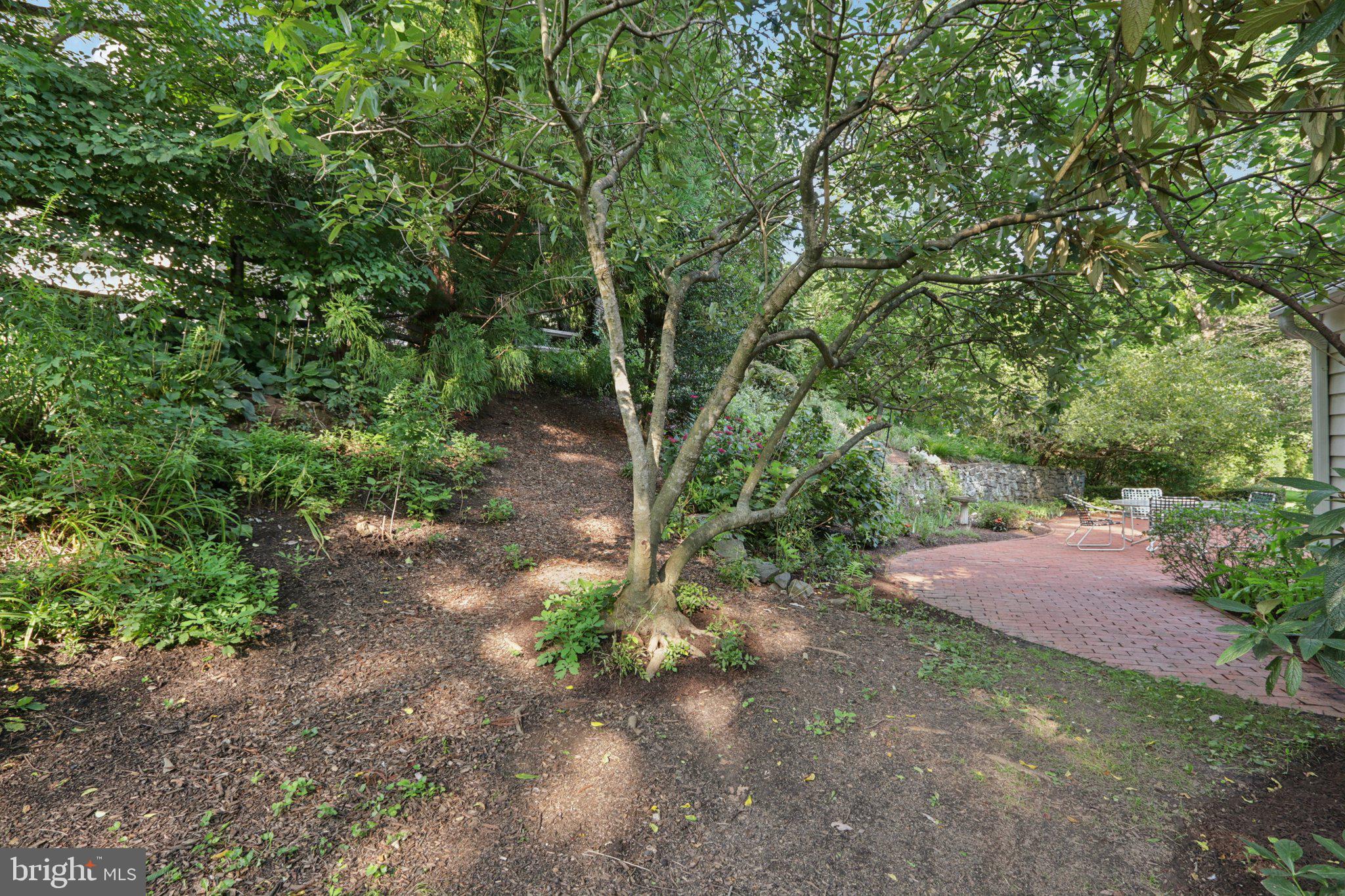 738 South Roberts Road Bryn Mawr, PA 19010 - Photo 61 of 65 Woodland garden oasis