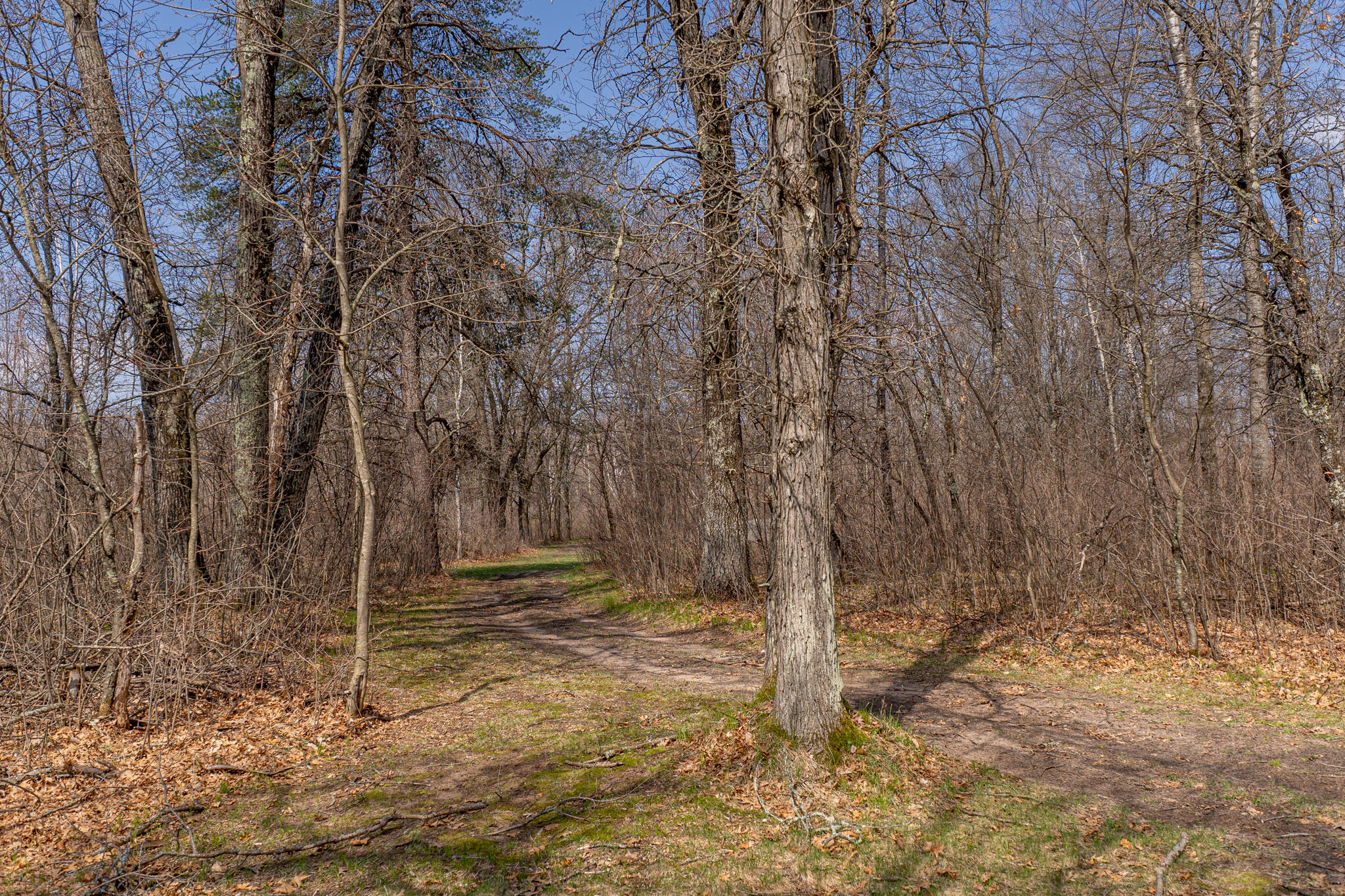 N10579 Deer Run Stephenson, WI 54104 - Photo 77 of 88 Lots wooded trails to ride on