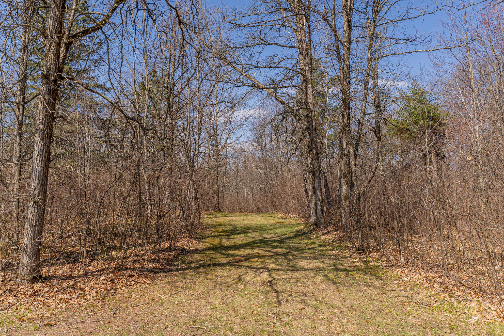 N10579 Deer Run Stephenson, WI 54104 - Photo 78 of 88 ATV & walking trails