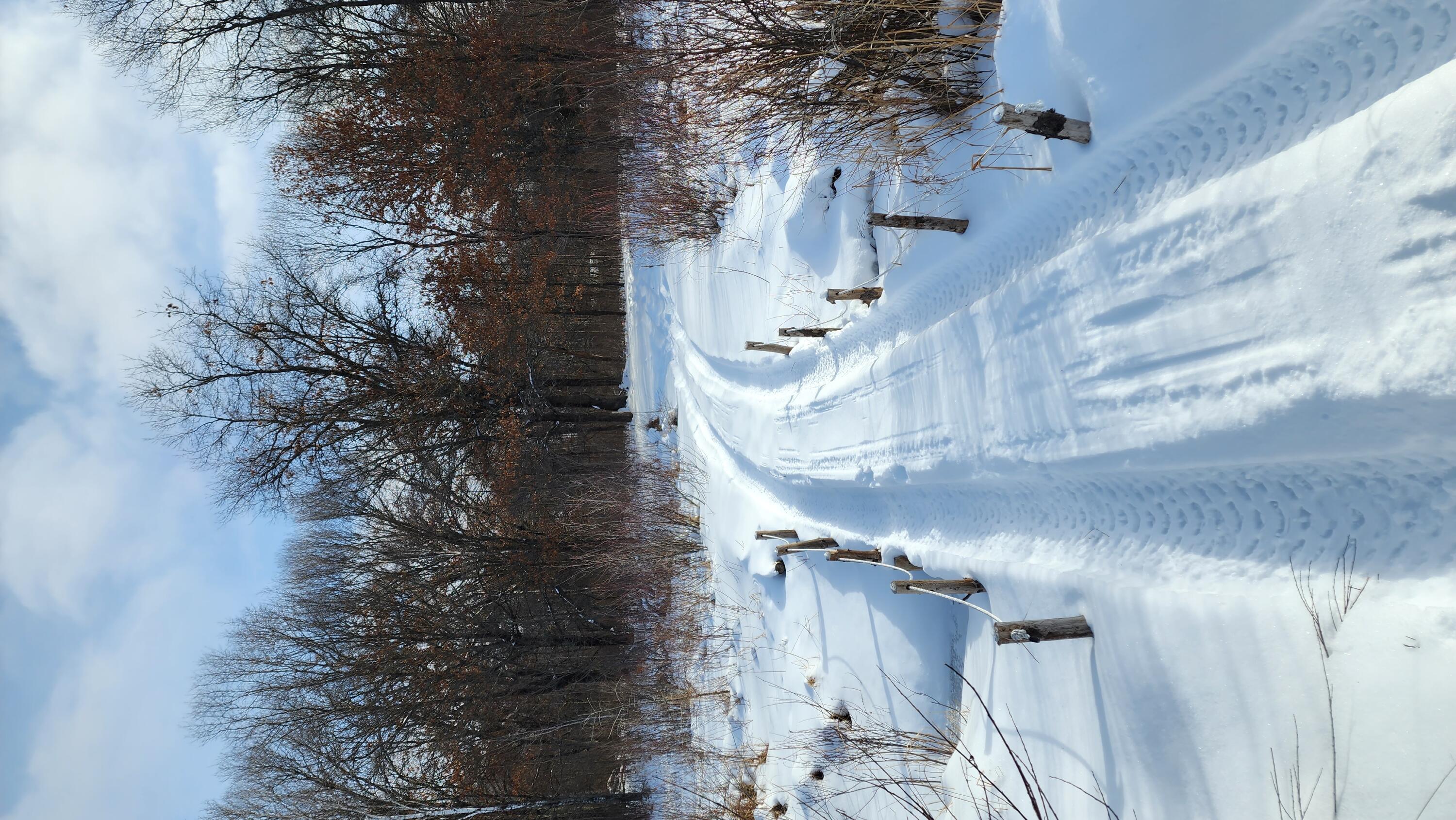 N10579 Deer Run Stephenson, WI 54104 - Photo 84 of 88 20230128_102920