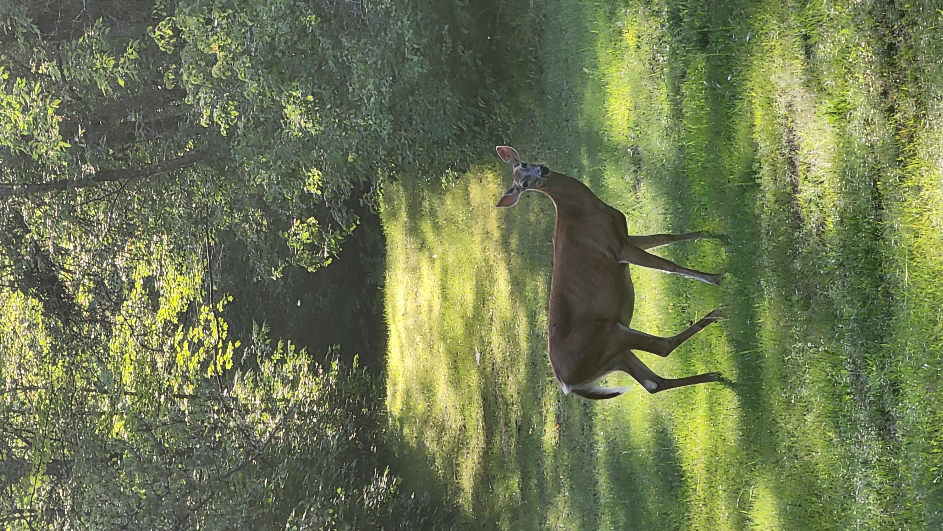 N10579 Deer Run Stephenson, WI 54104 - Photo 85 of 88 20230810_183124