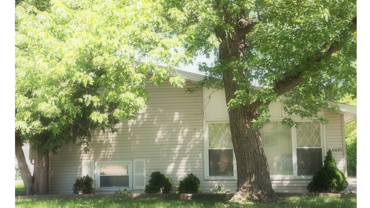 a front view of a house with a tree